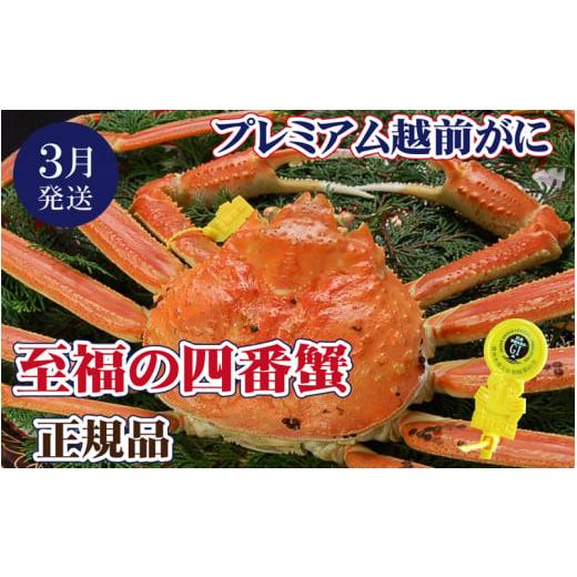 ふるさと納税 カニ ずわいガニ 福井県 越前町 越前がに本場の越前町からお届け 越前がに × 1杯(四番蟹)至福のプレミアム越前がに かに カニ 蟹 福井県 越前…