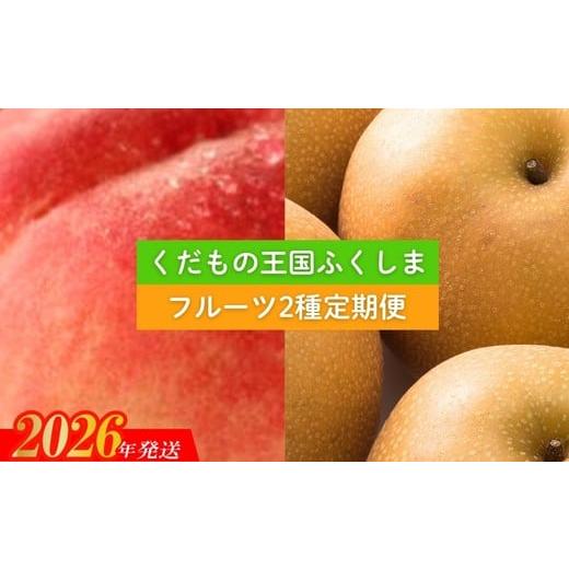 ふるさと納税 もも 福島県 福島市 No.2036 フルーツ2種定期便 2026年