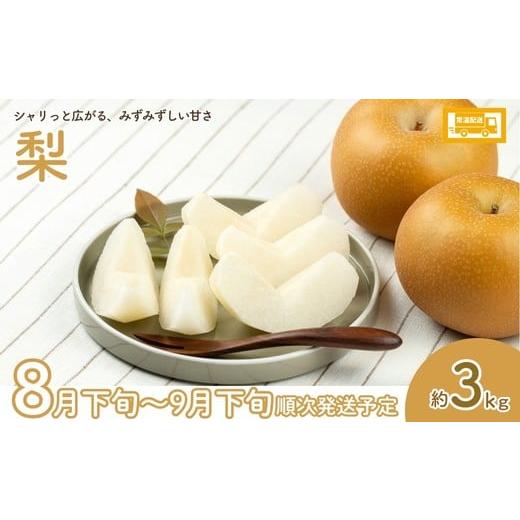 ふるさと納税 もも 福島県 福島市 No.2036 フルーツ2種定期便 2026年