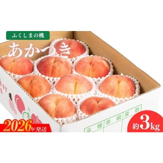 ふるさと納税 もも 福島県 福島市 No.2040 2026年発送 先行予約 福島のもも あかつき 約3kgの画像