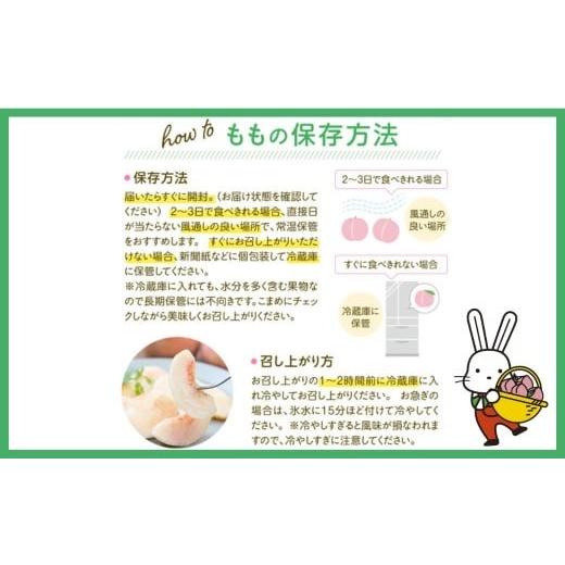 ふるさと納税 もも 福島県 福島市 No.2040 2026年発送 先行予約 福島のもも あかつき 約3kgの画像