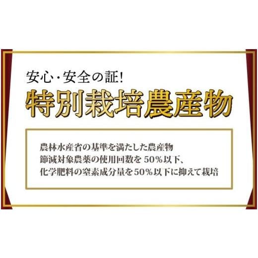 ふるさと納税 福井県 あわら市 【先行予約】マルセイユメロン 3〜5玉入「ユメマル」5kg 《とろけるような食感の絶品 赤肉メロン》／ 果物 フルーツ 産地直送 …｜furusatochoice｜04