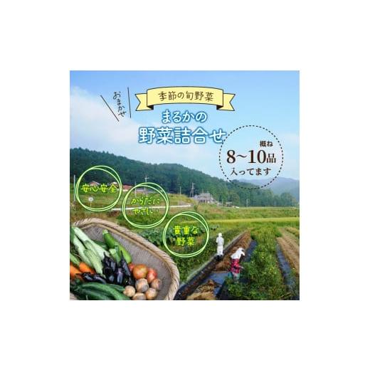 ふるさと納税 セット・詰合せ 大分県 国東市 まるかの無農薬野菜詰合せ M_1877Rの画像