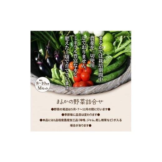 ふるさと納税 セット・詰合せ 大分県 国東市 まるかの無農薬野菜詰合せ M_1877Rの画像