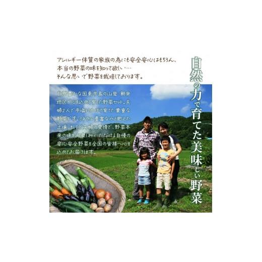ふるさと納税 セット・詰合せ 大分県 国東市 まるかの無農薬野菜詰合せ M_1877Rの画像