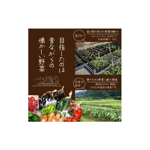 ふるさと納税 セット・詰合せ 大分県 国東市 まるかの無農薬野菜詰合せ M_1877Rの画像