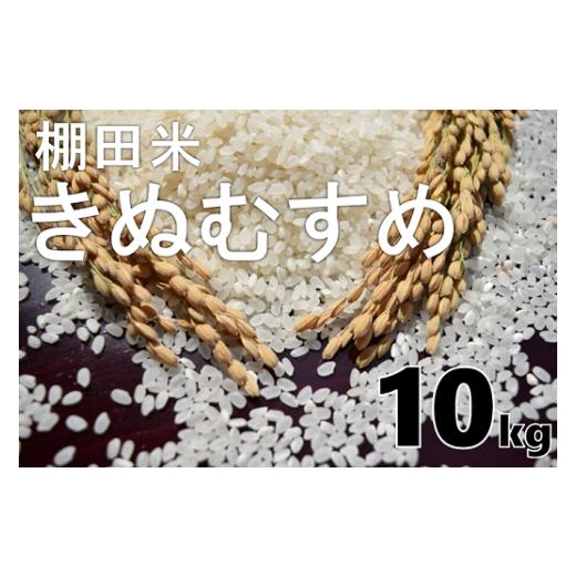 ふるさと納税 米 きぬむすめ 山口県 長門市 お米 精米 白米 棚田米 米「きぬむすめ」10kg 令和7年度産