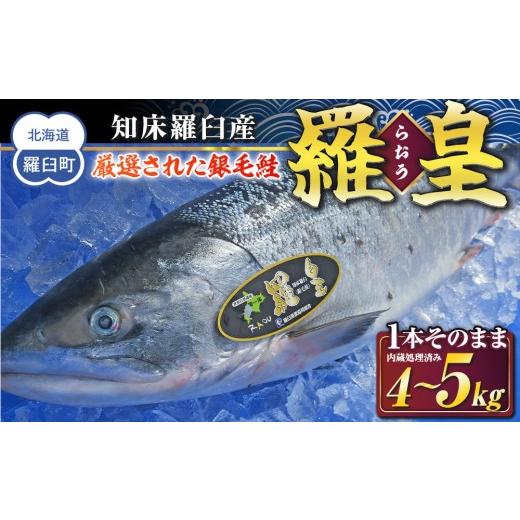 ふるさと納税 魚貝類 鮭 北海道 羅臼町 知床羅臼産 鮭 羅皇（らおう） 1本そのまま カットなし（内臓処理済） 4〜5kg 生産者 支援 応援の画像