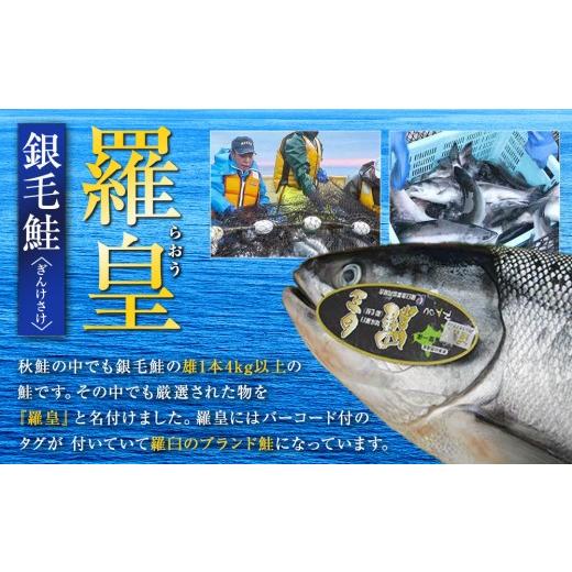 ふるさと納税 魚貝類 鮭 北海道 羅臼町 知床羅臼産 鮭 羅皇（らおう） 1本そのまま カットなし（内臓処理済） 4〜5kg 生産者 支援 応援の画像