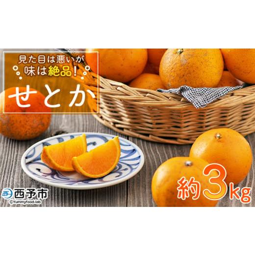ふるさと納税 みかん・柑橘類 愛媛県 西予市 見た目は悪いが味は絶品 無茶々園のせとか 約3kg 果物 みかん ミカン 蜜柑 柑橘 フルーツ 期間限定 季節限定 特…