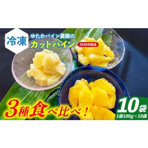 ふるさと納税 果物類 沖縄県 東村 ゆたかパイン農園の冷凍カットパイン食べ比べ10袋セット 2026年発送 沖縄県産 東村 パイナップル 冷凍 フローズン スムージ…