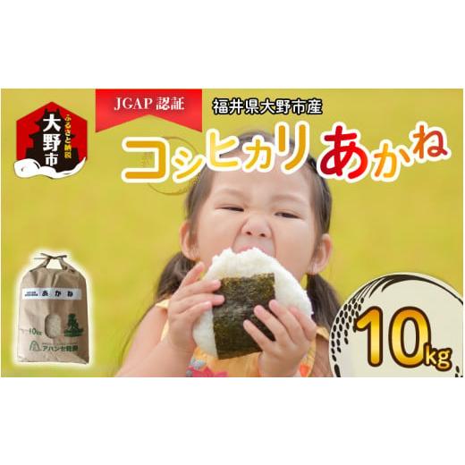 ふるさと納税 福井県 大野市 [先行予約][令和6年産 新米]福井県大野市産 JGAP認証 コシヒカリ「あかね」10kg