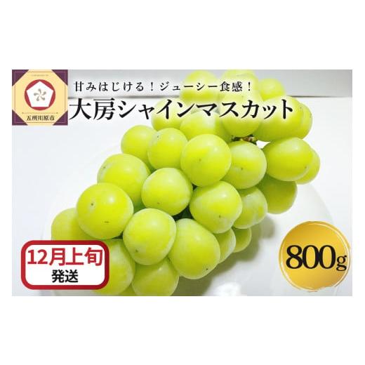 ふるさと納税 ぶどう マスカット 青森県 五所川原市 2025年12月上旬発送 シャインマスカット 大房 800g 青森産 12月上旬発送(1日〜10日)
