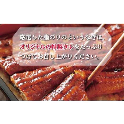 ふるさと納税 静岡県 沼津市 うなぎ 蒲焼き 鰻 4尾 中国産 約550g まるが水産 脂ノリ抜群 指定日可 贈答用｜furusatochoice｜03