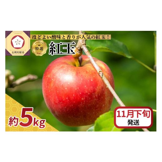 ふるさと納税 りんご 青森県 五所川原市 2025年11月下旬発送 特選 りんご 5kg 紅玉 青森 11月下旬発送(21日〜末日)