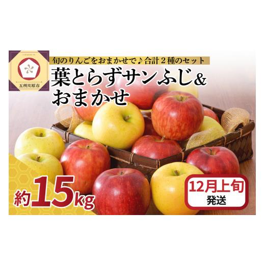 ふるさと納税 りんご 青森県 五所川原市 2025年12月上旬発送 りんご 15kg 詰め合わせ 計2種(葉とらず サンふじ と 他1種) 12月上旬発送(1日〜10日)