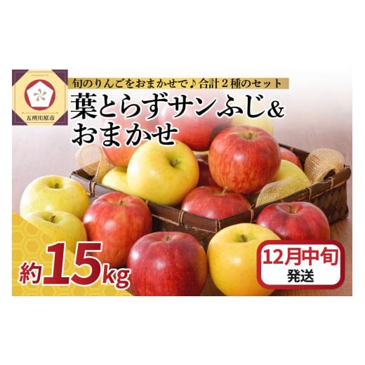 ふるさと納税 りんご 青森県 五所川原市 2025年12月中旬発送 りんご 15kg 詰め合わせ 計2種(葉とらず サンふじ と 他1種) 12月中旬発送(11日〜20日)