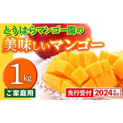 ふるさと納税 沖縄県 八重瀬町 [先行受付][2024年発送]とうはらマンゴー園の美味しいマンゴー家庭用 約1kg