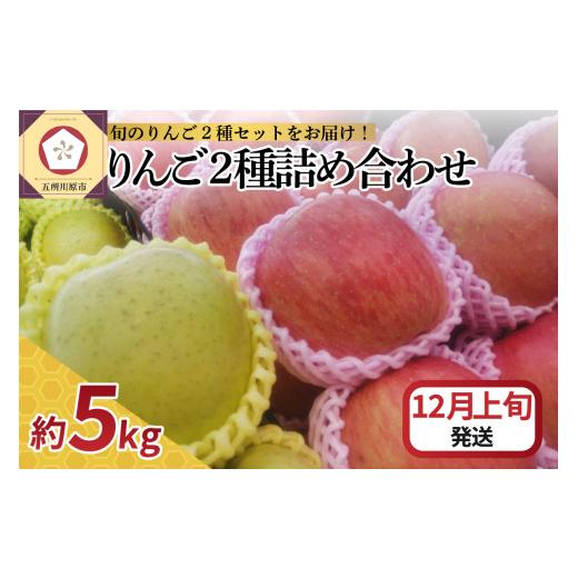 ふるさと納税 りんご 青森県 五所川原市 2025年12月上旬発送 りんご 5kg サンふじ 王林 他 紅白 詰め合わせ 青森 12月上旬発送(1日〜10日)