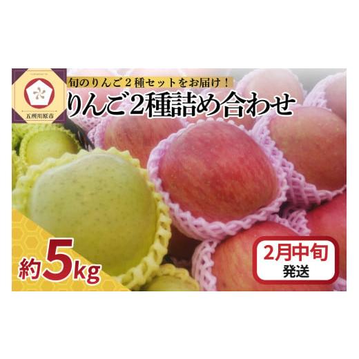 ふるさと納税 りんご 青森県 五所川原市 2026年2月中旬発送 りんご 5kg サンふじ 王林 他 紅白 詰め合わせ 青森 2月中旬発送(11日〜20日)