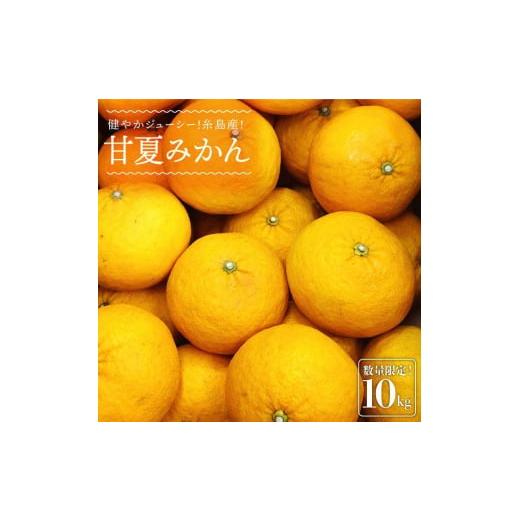 ふるさと納税 果物類 みかん 福岡県 糸島市 先行予約 健やかジューシー・夏の味 糸島産甘夏みかんM〜L玉・約10kg 2026年4月より順次発送 二丈赤米産直センタ…