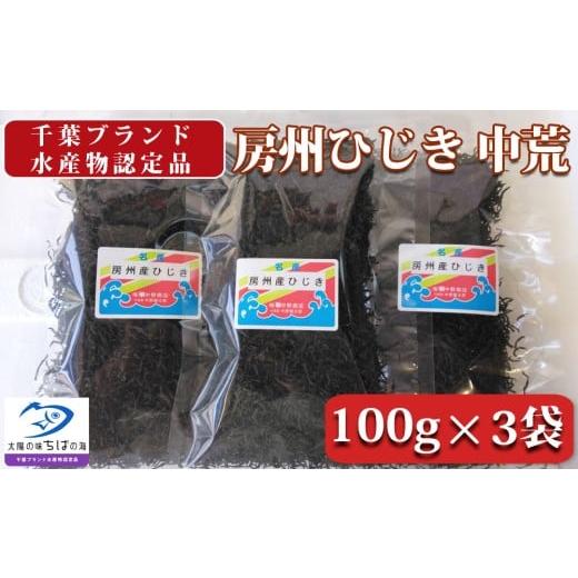 ふるさと納税 乾物 海藻 千葉県 鴨川市 中野健太郎商店 房州ひじき 中荒ひじき 100g×3袋