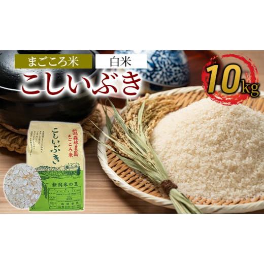 ふるさと納税 新潟県 新潟市 まごころ米こしいぶき10kg(白米)