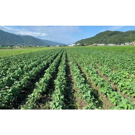 ふるさと納税 加工品等 納豆 福岡県 糸島市  糸島育ち 百笑 納豆 20パック 《糸島》 百笑屋 ABF013の画像