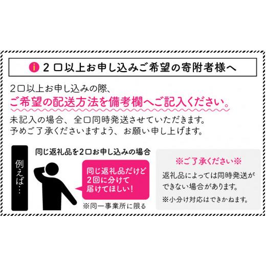 ふるさと納税 福井県 坂井市 【3ヶ月連続お届け】 福井の美味しい特産品 「焼き鯖」寿司 3本セット × 3回 （計5種）  [B-0504]｜furusatochoice｜09