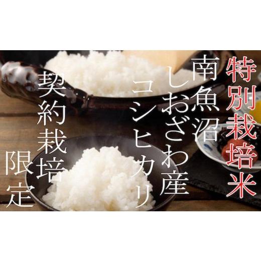ふるさと納税 米 コシヒカリ 新潟県 南魚沼市  令和7年産 定期配送4Kg×3ヶ月 特別栽培 生産者限定 南魚沼しおざわ産コシヒカリ 定期便 銘柄米 ブランド米 精…_1