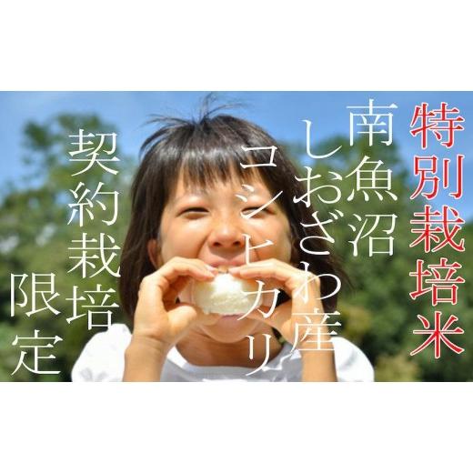 ふるさと納税 米 コシヒカリ 新潟県 南魚沼市  令和7年産 定期配送4Kg×3ヶ月 特別栽培 生産者限定 南魚沼しおざわ産コシヒカリ 定期便 銘柄米 ブランド米 精…_3