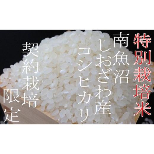 ふるさと納税 米 コシヒカリ 新潟県 南魚沼市  令和7年産 定期配送4Kg×3ヶ月 特別栽培 生産者限定 南魚沼しおざわ産コシヒカリ 定期便 銘柄米 ブランド米 精…_5