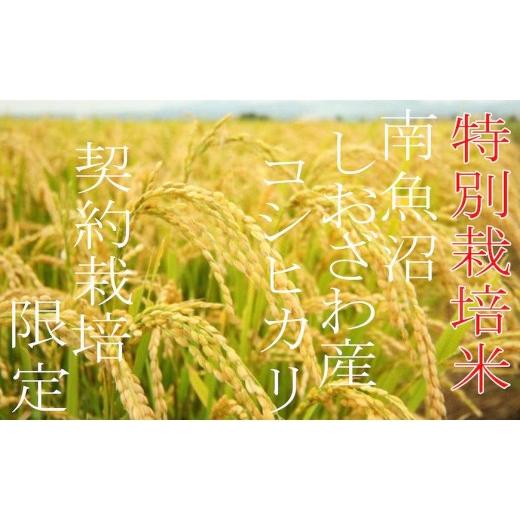 ふるさと納税 米 コシヒカリ 新潟県 南魚沼市  令和7年産 定期配送4Kg×3ヶ月 特別栽培 生産者限定 南魚沼しおざわ産コシヒカリ 定期便 銘柄米 ブランド米 精…_8