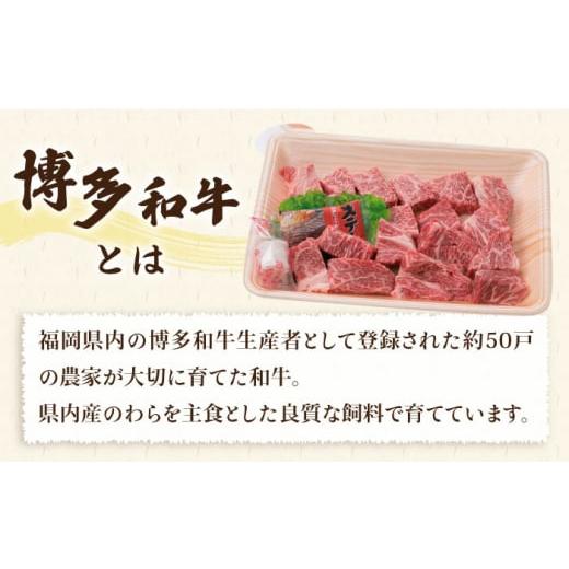 ふるさと納税 福岡県 糸島市 【人気セット】A4ランク 博多 和牛 ヒレ肉 サイコロ ステーキ 300g ／ 生 ハンバーグ 150g × 3個 《糸島》 【糸島ミートデリ工房…｜furusatochoice｜07