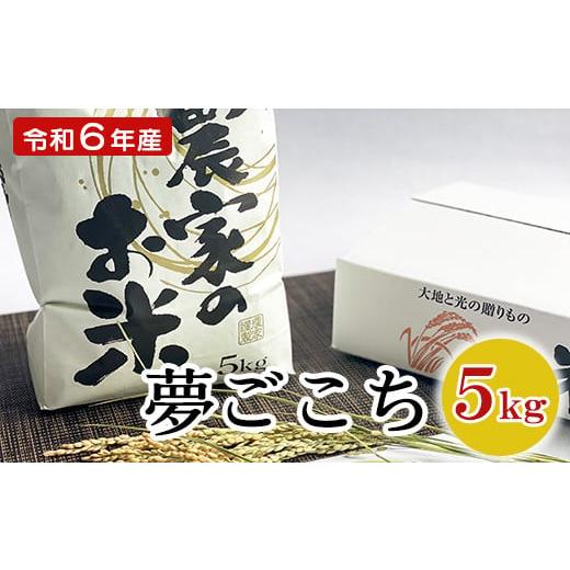 ふるさと納税 山形県 米沢市 《 先行予約 》 【 令和6年産 新米 】特別栽培米 夢ごこち 5kg 1袋 玄米可 農家直送 2024年産 [063R6-003]｜furusatochoice｜02