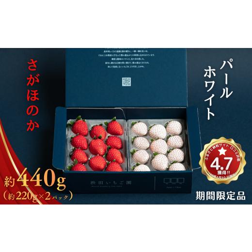 ふるさと納税 いちご 佐賀県 佐賀市 数量限定 先行受付 佐賀県産いちご さがほのか&パールホワイト 紅白セット 2027年1〜4月発送 いちご イチゴ 苺 果物 フル…