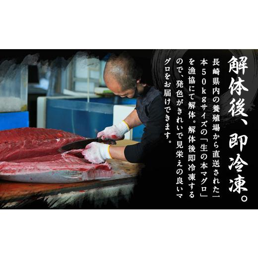 ★11時間以内発送★美品 ふるさと納税 長崎県 時津町 【定期便3回】長崎県産 本マグロ（養殖）大トロ 皮付き 約600g 生食用 【8369709080】(29480円)