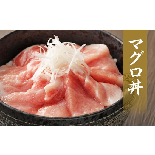 ★11時間以内発送★美品 ふるさと納税 長崎県 時津町 【定期便3回】長崎県産 本マグロ（養殖）大トロ 皮付き 約600g 生食用 【8369709080】(29480円)