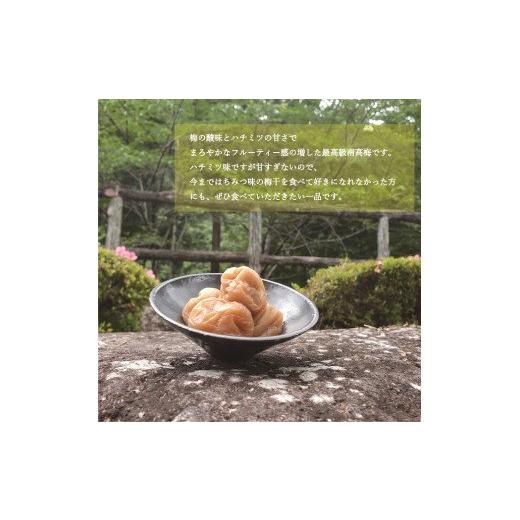 ふるさと納税 和歌山県 新宮市 【贈答用】紀州南高梅 食べ比べセット 500g×2　（はちみつ・桃風味） ／ 梅干 梅干し 梅 南高梅 人気 大粒 はちみつ・桃風味｜furusatochoice｜06