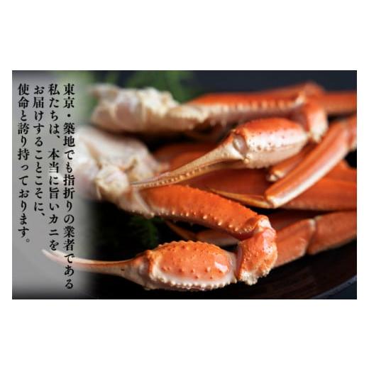 ふるさと納税 カニ ずわいガニ 茨城県 大洗町  ボイル 本ずわいがに 2肩 500g × 1 カジマ ずわい蟹 ズワイガニ ずわいがに かに カニ 蟹の画像