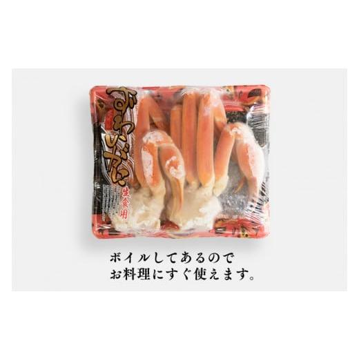 ふるさと納税 カニ ずわいガニ 茨城県 大洗町  ボイル 本ずわいがに 2肩 500g × 1 カジマ ずわい蟹 ズワイガニ ずわいがに かに カニ 蟹の画像