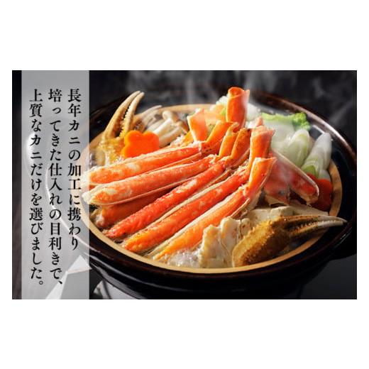 ふるさと納税 カニ ずわいガニ 茨城県 大洗町  ボイル 本ずわいがに 2肩 500g × 1 カジマ ずわい蟹 ズワイガニ ずわいがに かに カニ 蟹の画像