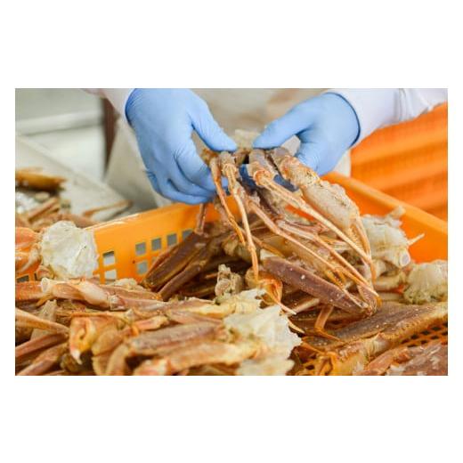 ふるさと納税 カニ タラバガニ 茨城県 大洗町 生たらばがに 0.8kg（総重量 1kg ） 特大 5L シュリンクパック カジマ たらば蟹 タラバガニ たらばがに かに カ&hellip;