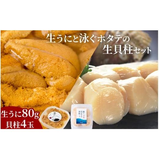ふるさと納税 ウニ 岩手県 釜石市 fc-39-016 先行予約 生うに (80g) と泳ぐホタテの生貝柱 (貝柱4玉) セット 令和8年5月上旬頃から7月下旬頃期間限定 お届け便…