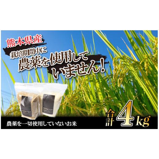 ふるさと納税 熊本県 和水町 栽培期間中農薬を一切使用していないお米 玄米4kg(2kg×2) | 熊本県 熊本 くまもと 和水町 なごみ 玄米 米 減農薬栽培 玄米4kg