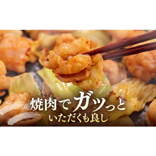 ふるさと納税 福岡県 豊前市 【やみつき辛うま！】もつ鍋・焼肉用 国産ホルモン  200g ×3個《豊前市》【ますだ産業】 [VBV001]｜furusatochoice｜05