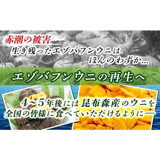 ふるさと納税 北海道 釧路町 「昆布森漁業協同組合」への「思いやり型返礼品（災害支援型）」 令和3年9月 赤潮被害による支援 | 北海道 釧路町 昆布森 ウニ の…｜furusatochoice｜08