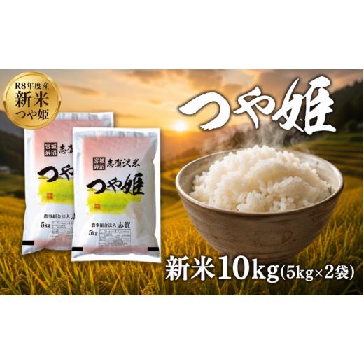 ふるさと納税 米 つや姫 宮城県 岩沼市 令和8年産 新米 つや姫 10kg おこめ お米 白米 精米 コメ ライス ごはん ご飯 国産米 ブランド米 特A ツヤ もちもち …
