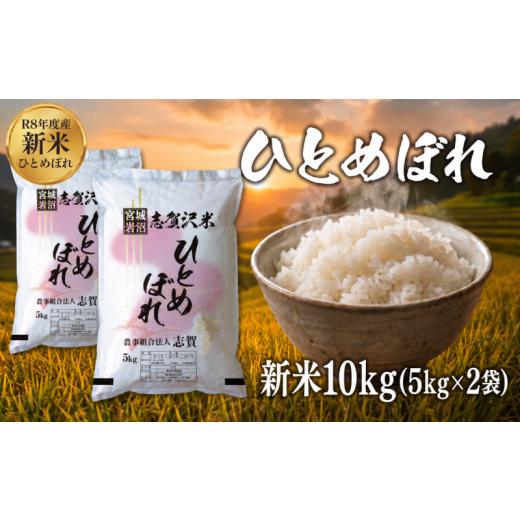 ふるさと納税 米 ひとめぼれ 宮城県 岩沼市 令和8年産 新米 ひとめぼれ 10kg おこめ お米 白米 精米 コメ ライス ごはん ご飯 国産米 安心 安全 安定 定番 オ…