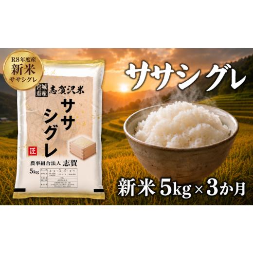 ふるさと納税 米 宮城県 岩沼市 令和8年産 新米 ササシグレ 定期便 5kg 3ヶ月 おこめ お米 白米 精米 コメ ライス ごはん ご飯 国産米 希少 幻の米 幻 まぼろ…